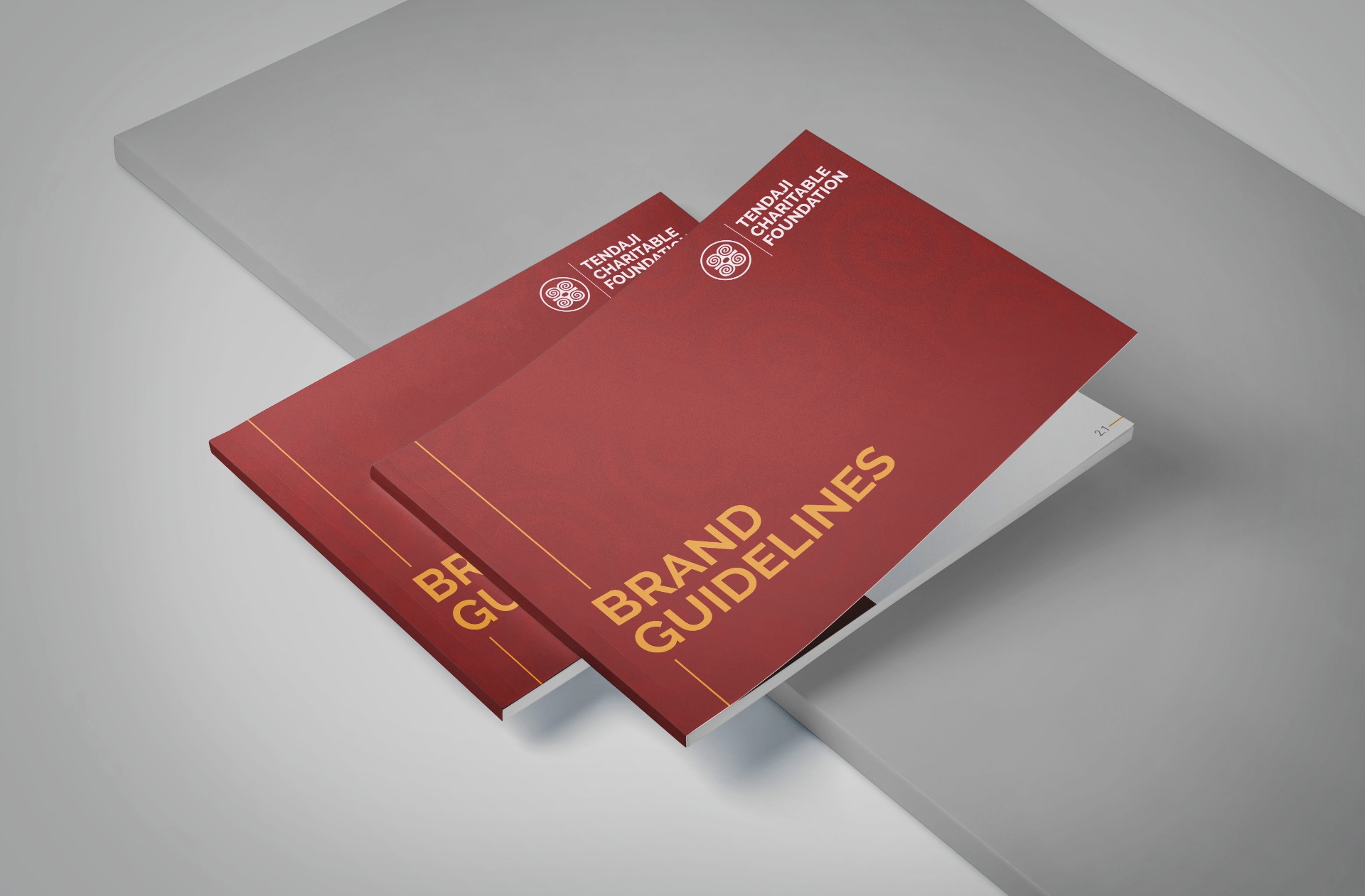TENDAJI CHARITABLE FOUNDATION — 01 — Challenge